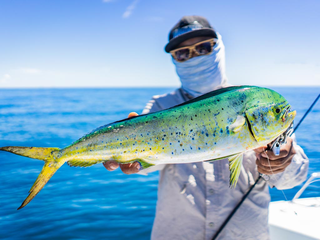 Рыбак держит Mahi Mahi на фоне океана