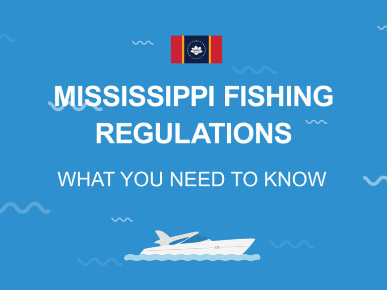 Mississippi Fishing The Complete Guide (Updated 2022)
