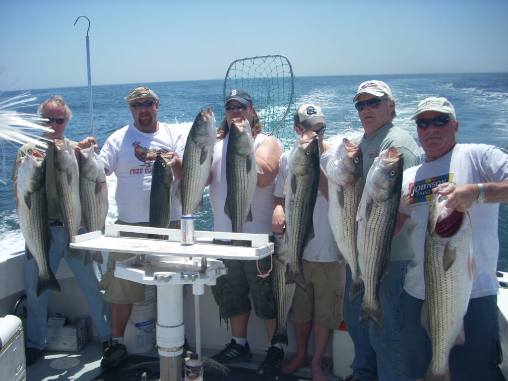 Six anglers on a boat each holding freshly caught Striped Bass fishing with Reel To Reel Sportfishing Llc in Rhode Island.