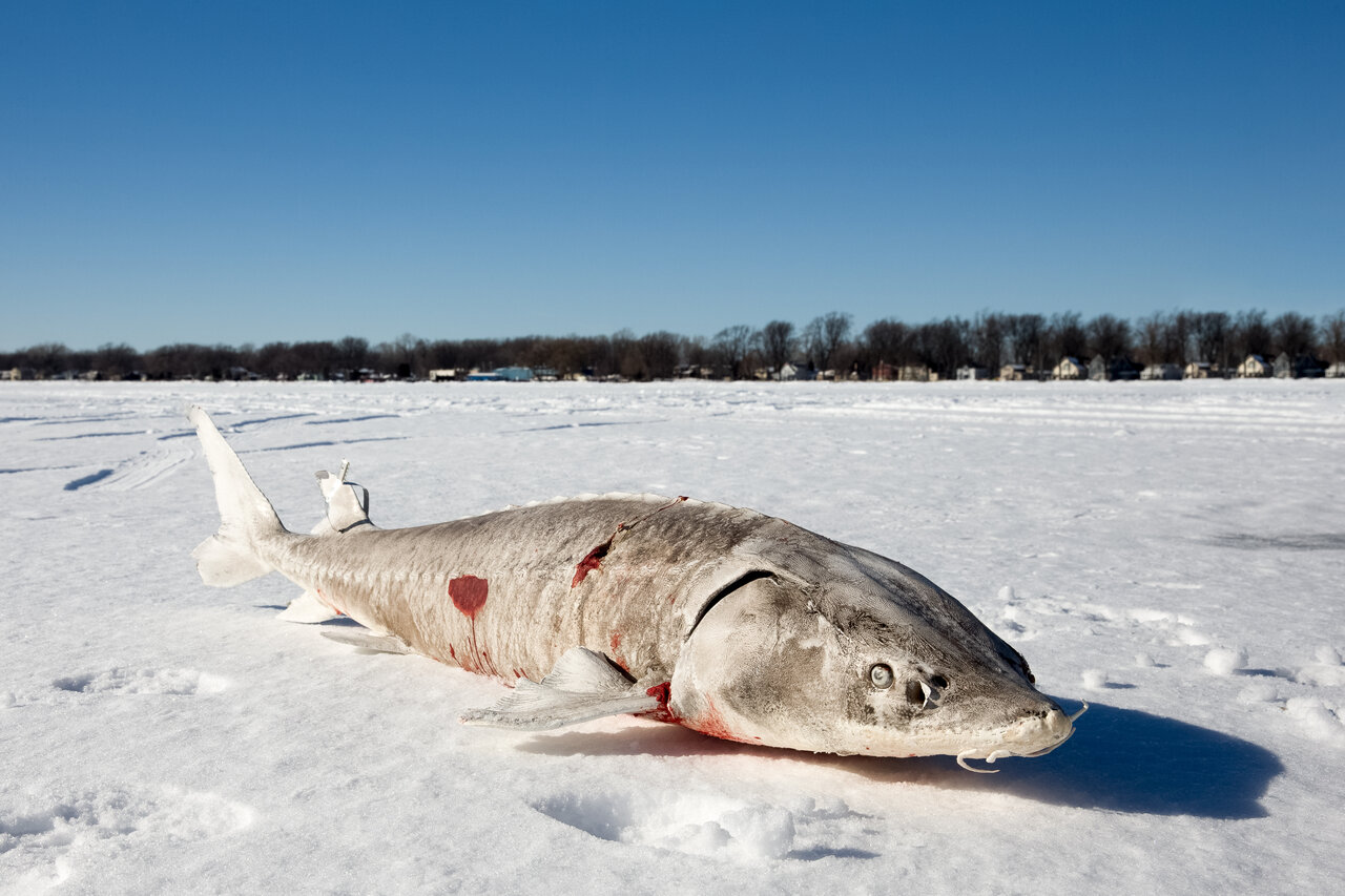 The 8 Best US Ice Fishing Destinations for 2022