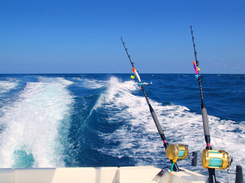 A photo of two trolling rods with the ocean in the background.