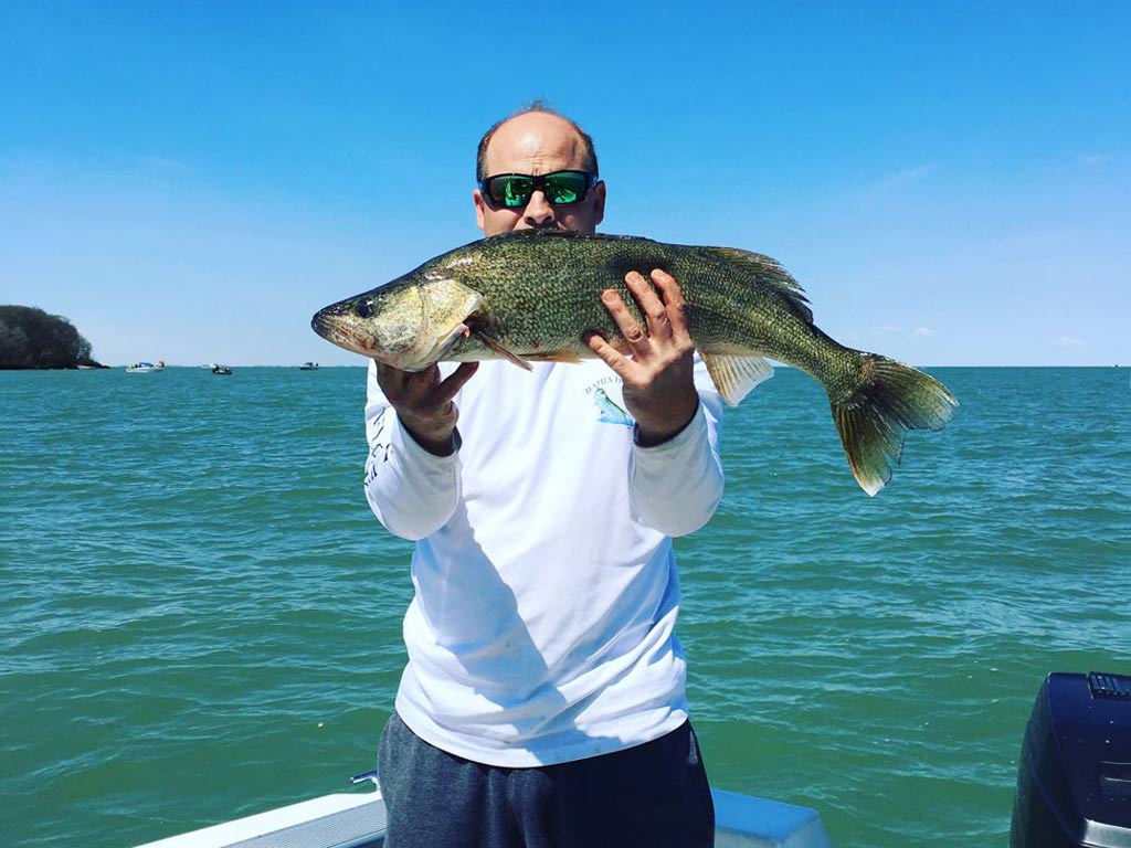 An angler holding a Walleye caught fishing on Lake Erie, with blue waters behind him.