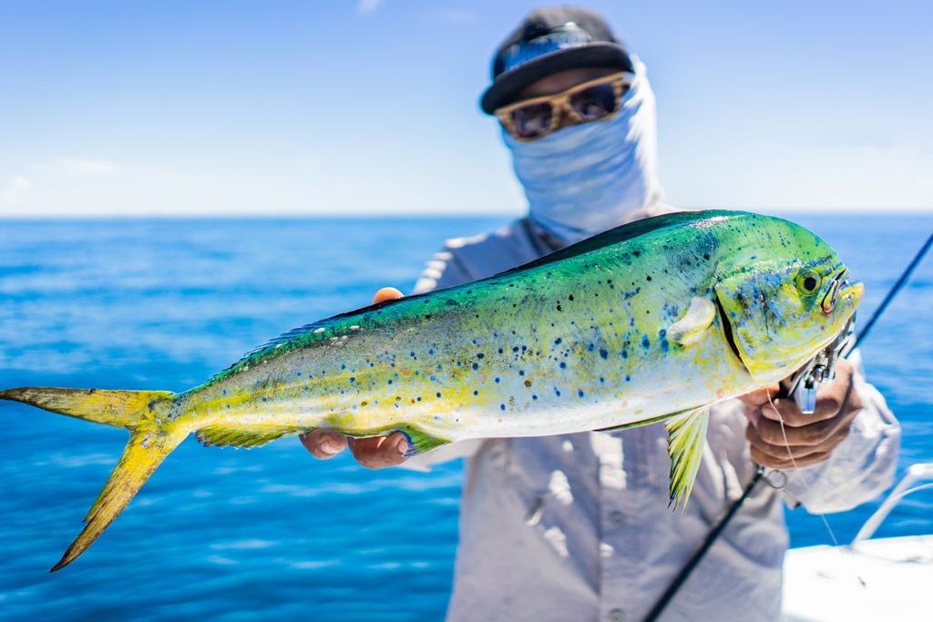 An angler holding a Mahi Mahi with the ocean in the background.