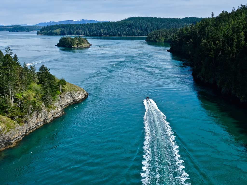 A charter boat speeding through the blue waters of the Puget Sound, with forest scenery along the coast.