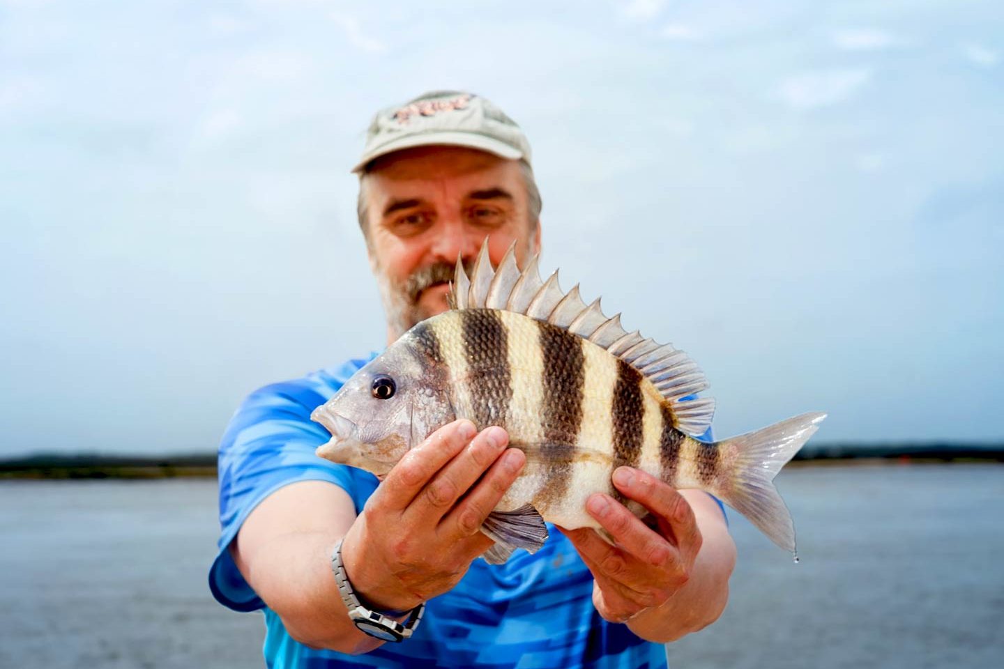 Sheep fish. Рыба баран.