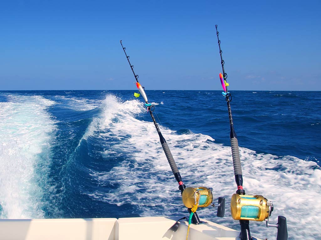 How to Go Deep Sea Fishing in Gulf Shores: The Complete Guide (Updated ...