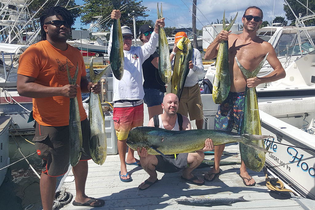 A group of anglers eaxch hold a Mahi Mahi caught fishing in Puerto Rico