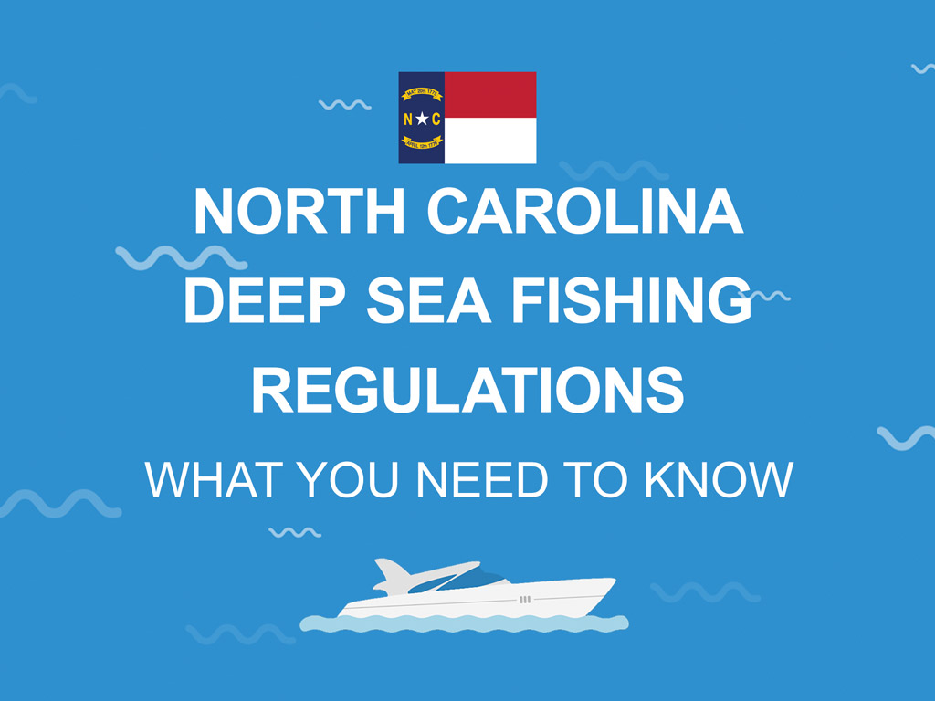 Deep Sea Fishing in North Carolina: A Basic Guide (Updated 2022)