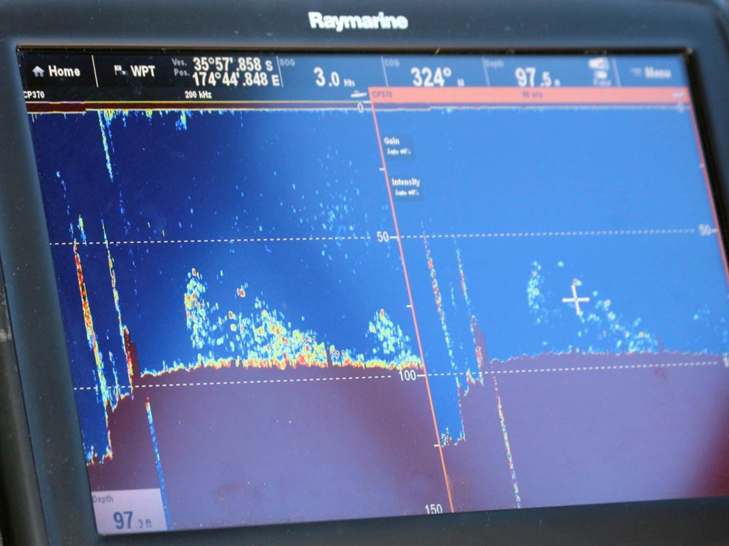 Используемый рыбопоисковый эхолот Raymarine, одновременно показывающий результаты двух разных частот.