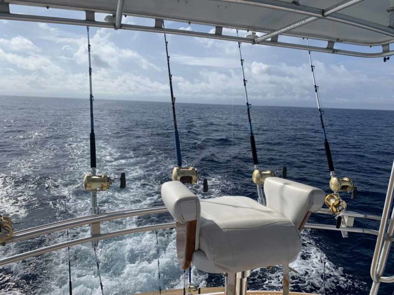 Deep Sea Fishing in North Carolina The Complete Guide (Updated 2023)