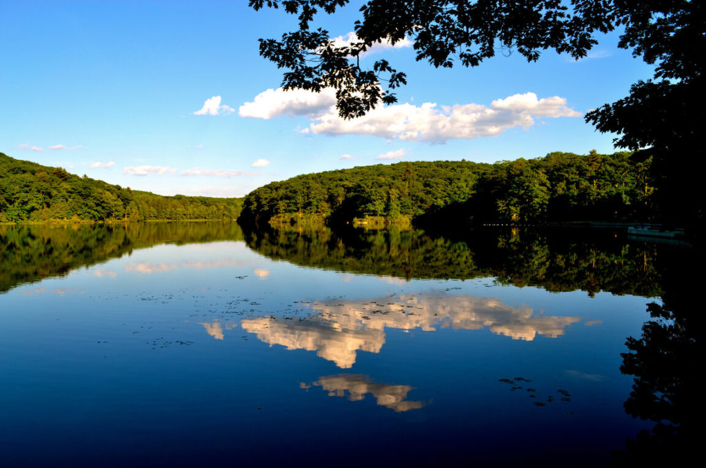 Benedict Pond in Beartown State Forest, MA
