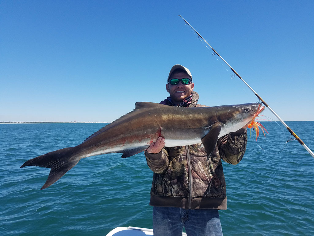 Un pescador sostiene una gran Cobia capturada cerca de la costa