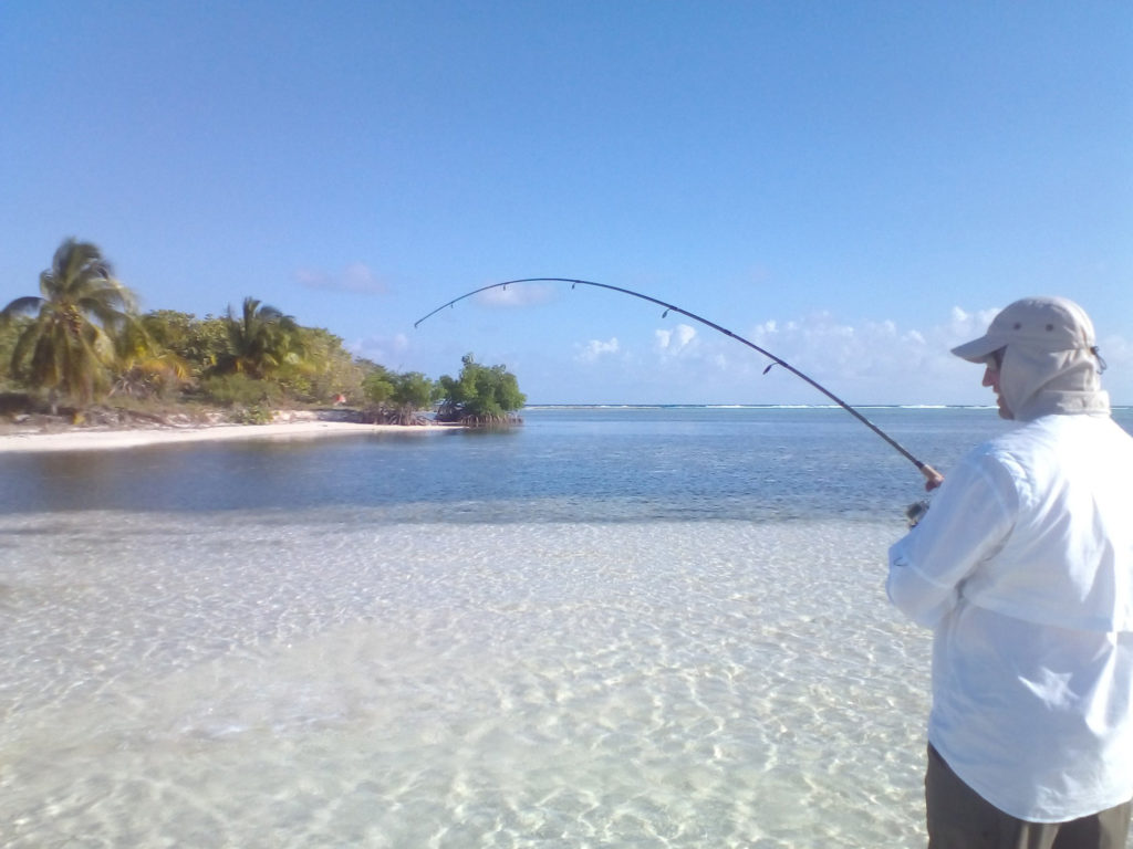 An angler with a rod fishing the flats in the Cayman Islands.