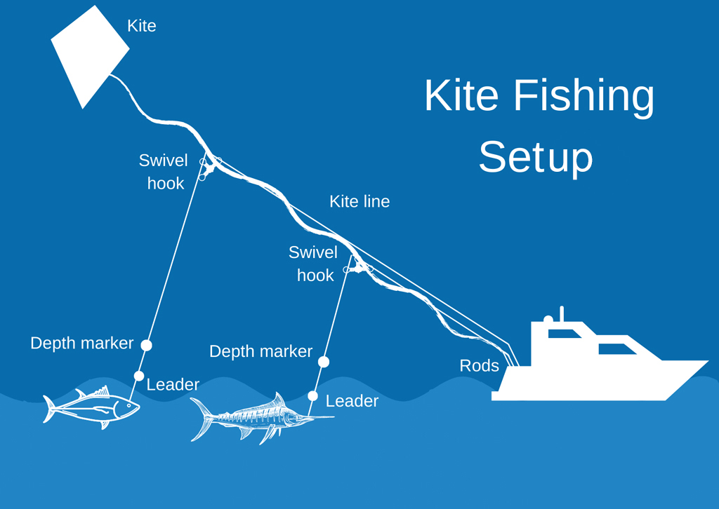 An infographic showing a typical kite fishing set up with a boat, rods, a kite, kite line, and two fishing lines