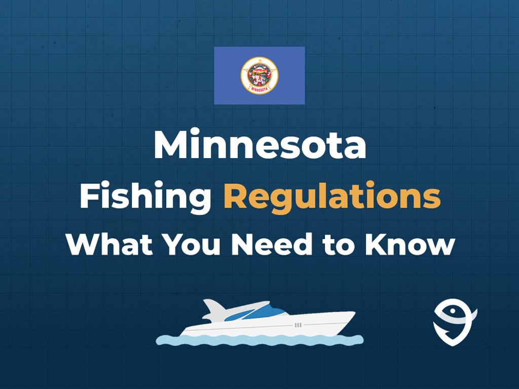 Minnesota Fishing The Complete Guide (Updated 2023)