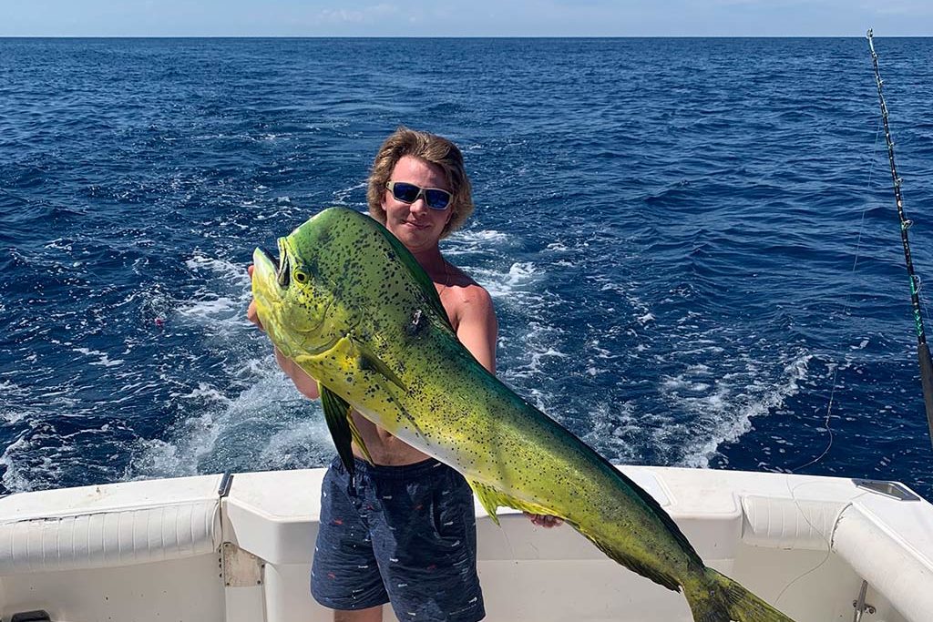 pound mahi mahi