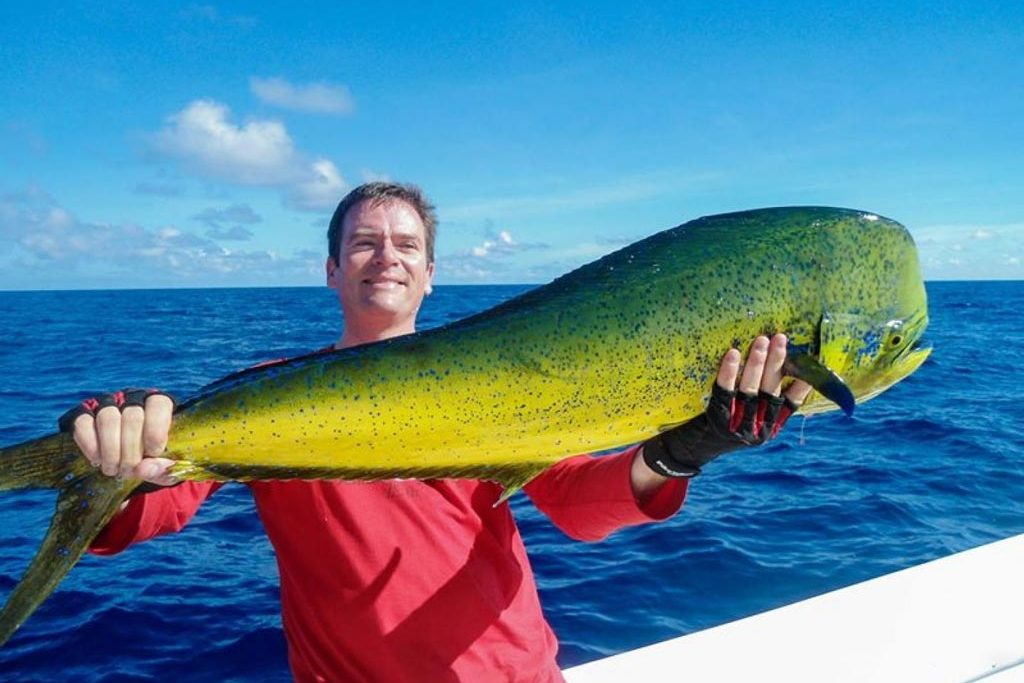 A big Mahi Mahi caught while fishing in Mauritius.