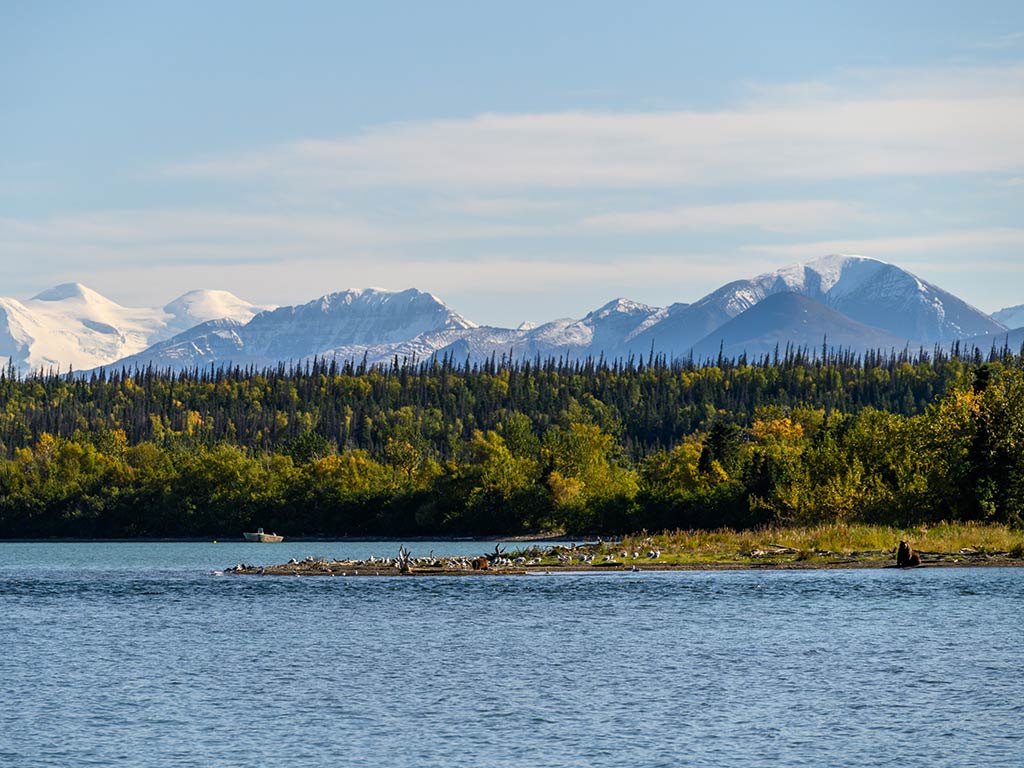 A river close to the Alagnak on a bright day, with a pair of feeding bears next to the water.