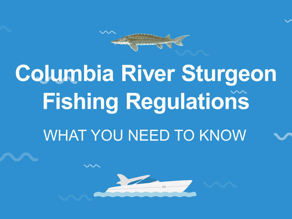 Sturgeon Fishing on the Columbia River The Complete Guide (Updated 2022)