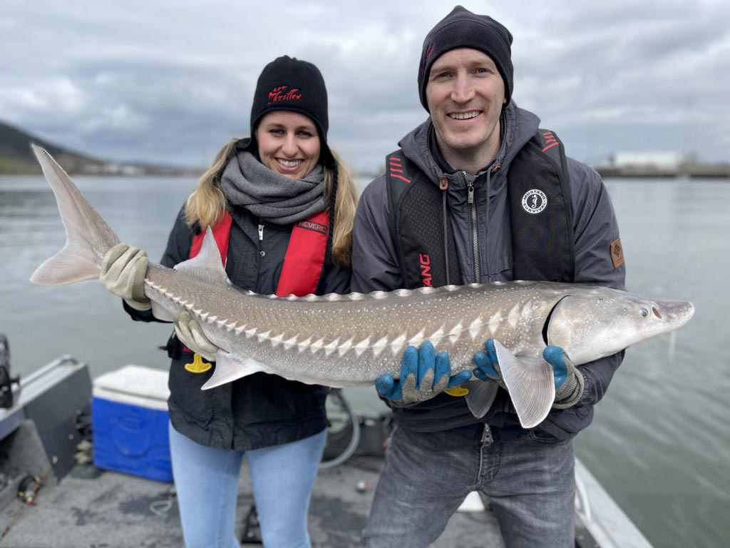 A man and a woman holding a sizeable Sturgeon they caught fishing on the Columbia River.