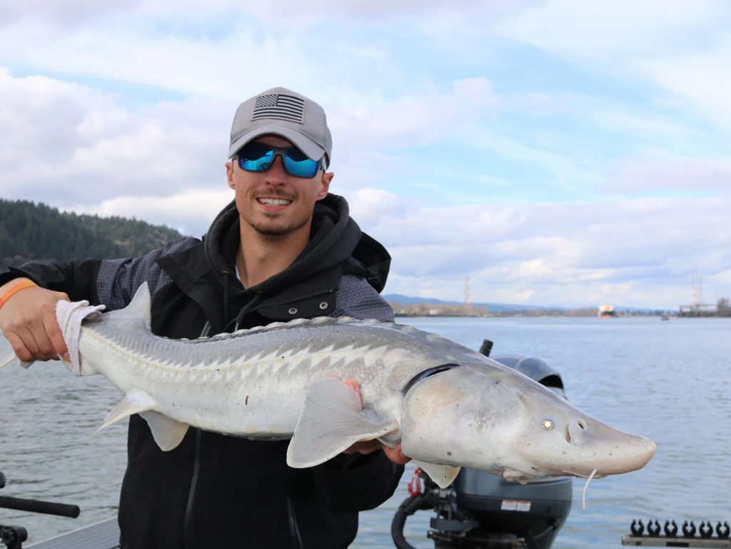 An angler on a boat, holding a White Sturgeon reeled in on a Columbia River fishing trip.