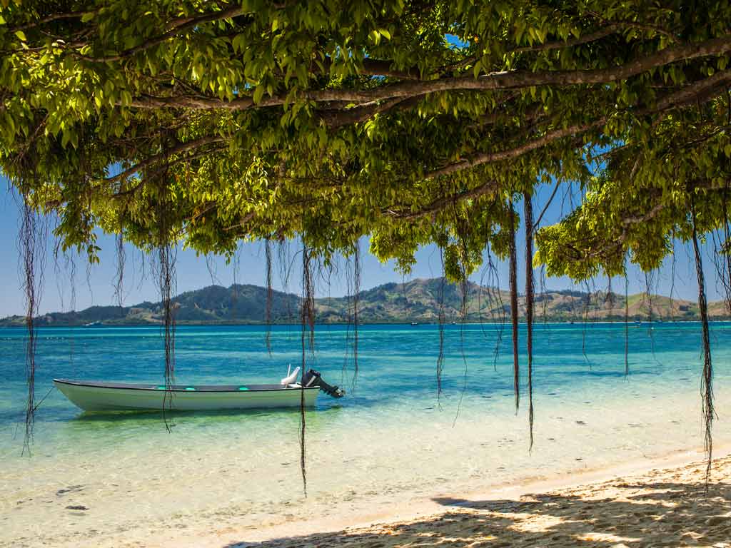 A view of a tree and a boat on the white-sand beach