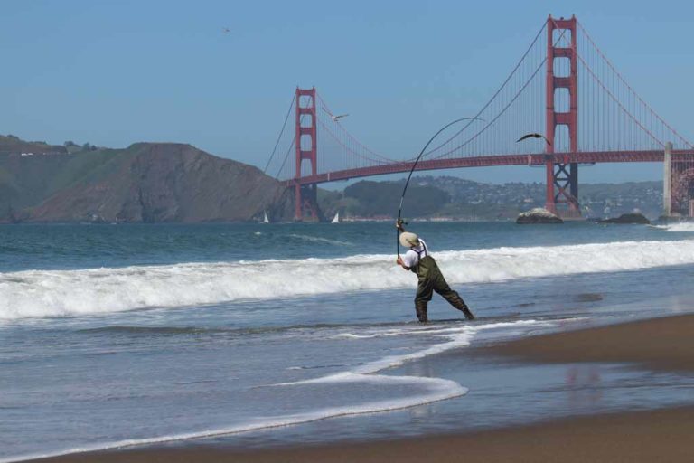 How to Fish for Halibut in California The Complete Guide