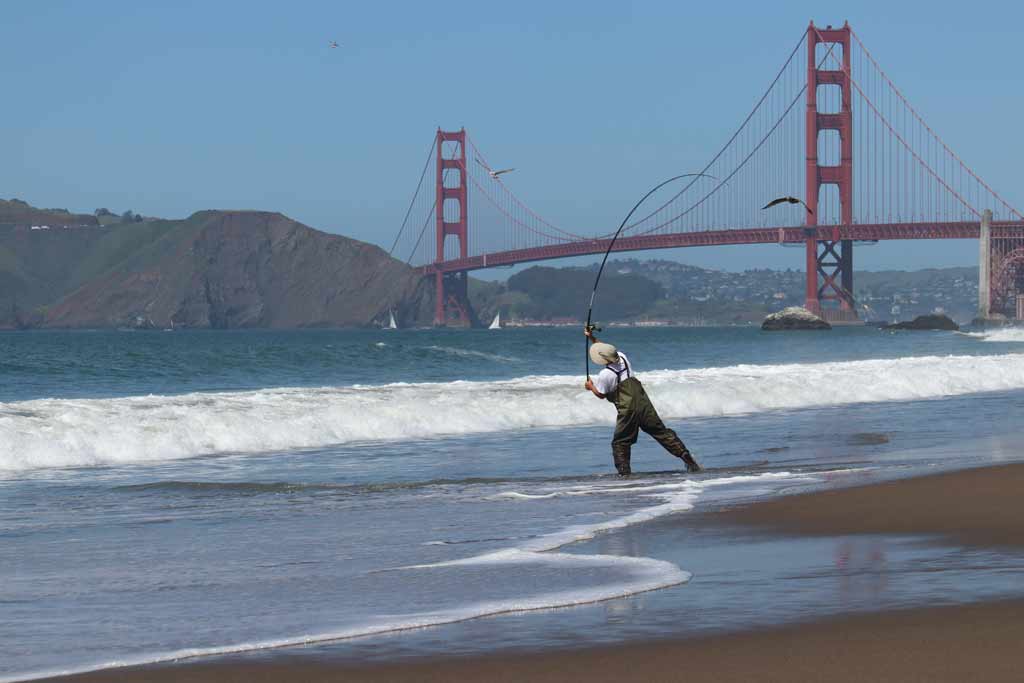 A surf fisherman standing on a beach, mid-cast, with the Golden Gate Bridge in the background