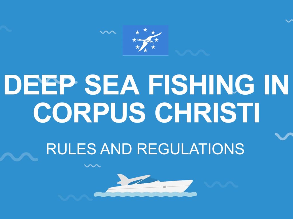 Infographics "Deep Sea Fishing In Corpus Christi: Rules And Regulations:
