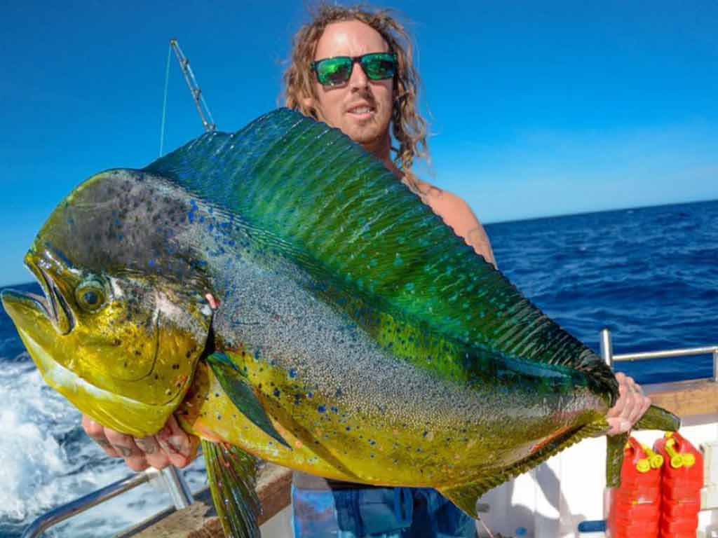 An angler holding huge Mahi Mahi with his both hands