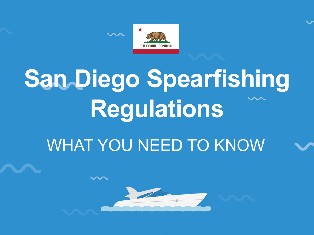 An infographic that says "San Diego Spearfishing Regulations" and "What you need to know" against a blue background.