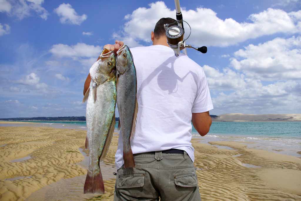 A man with his back turned to the camera, carrying two fish over one shoulder, and a surf fishing rod over another