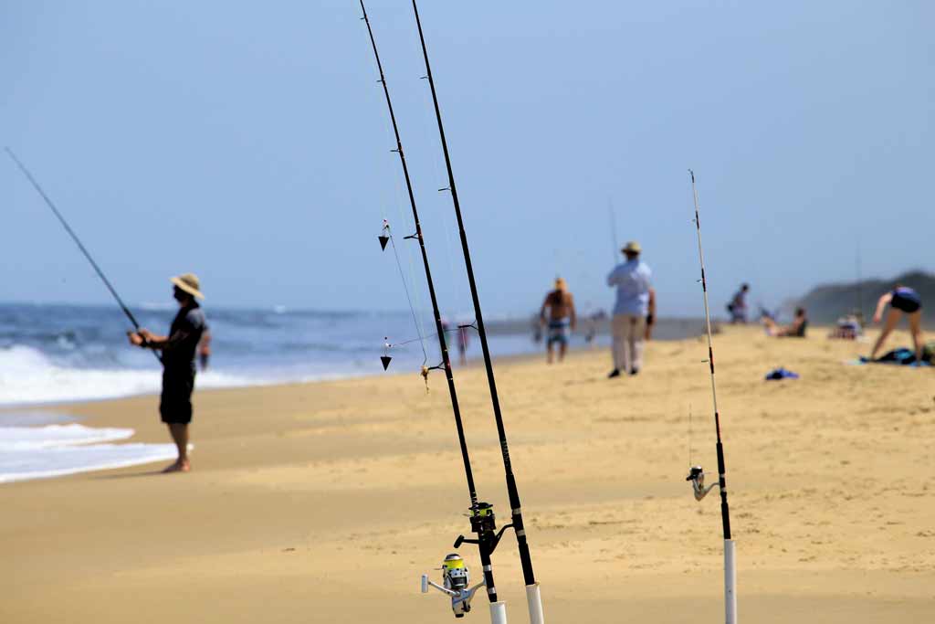 Surf fishing rods upright on a beach, with surf fishermen in the background