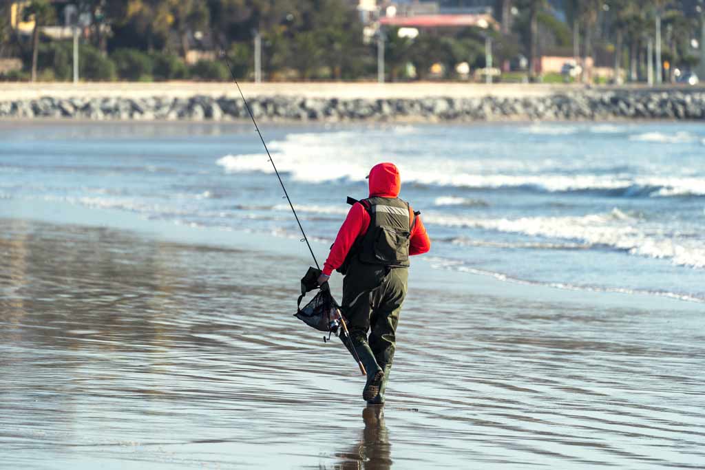 A surf angler walking on the beach