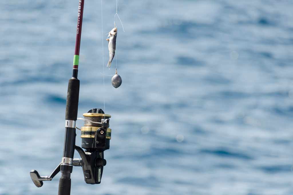 A close-up of terminal tackle setup of a surf fishing rod