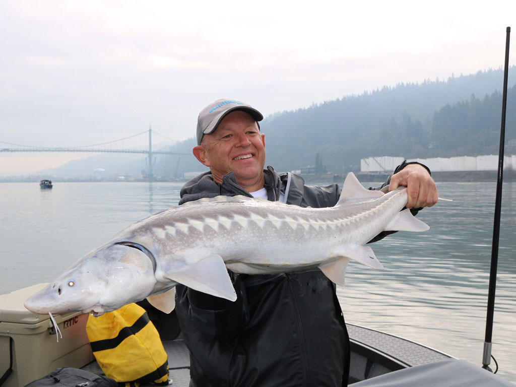 A man holding a big Sturgeon.