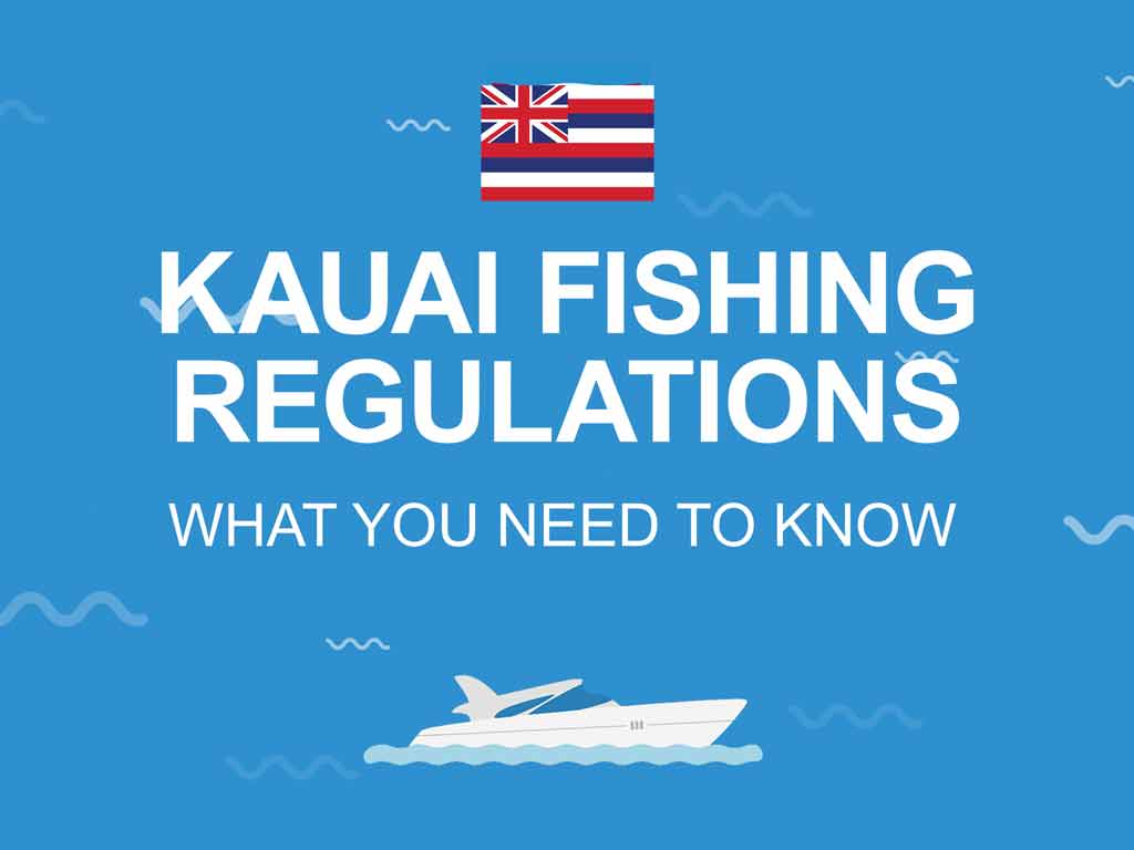 Kauai Fishing The Complete Guide (Updated 2023)