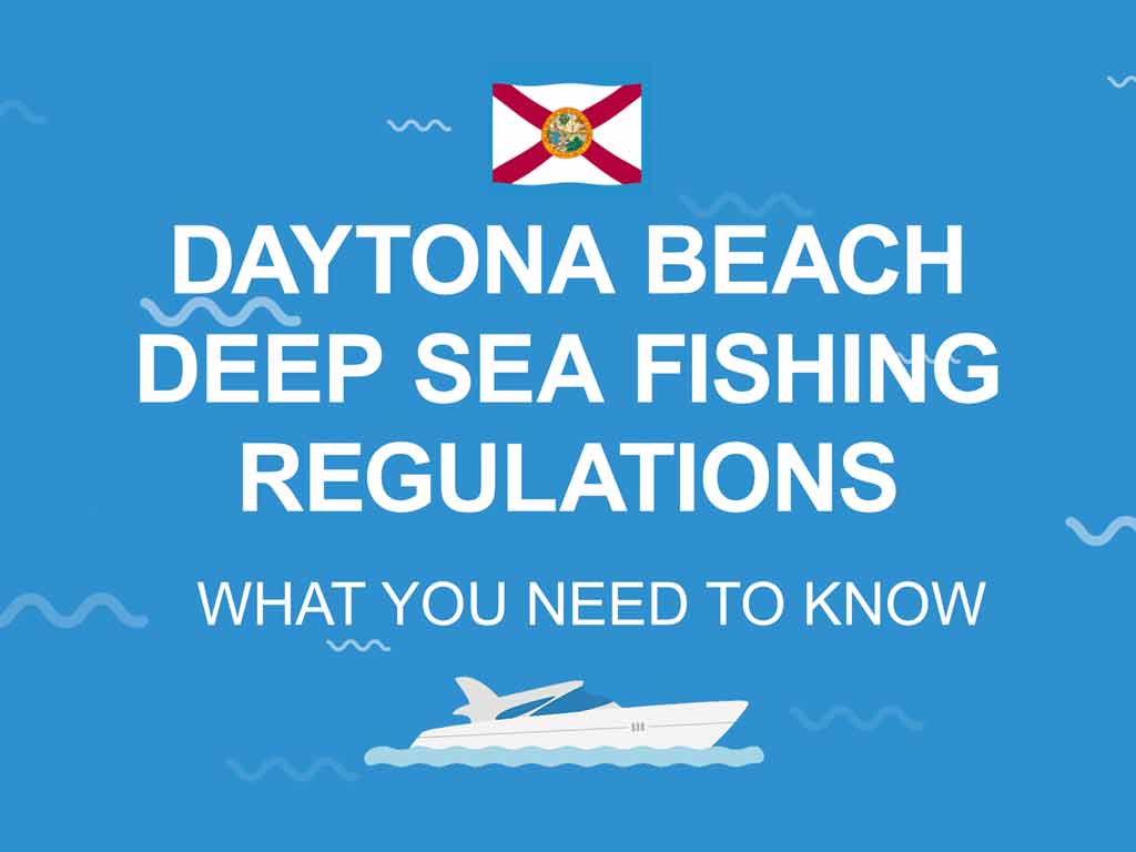 An infographic showing flag of Florida and Daytona Beach deep sea fishing regulations description