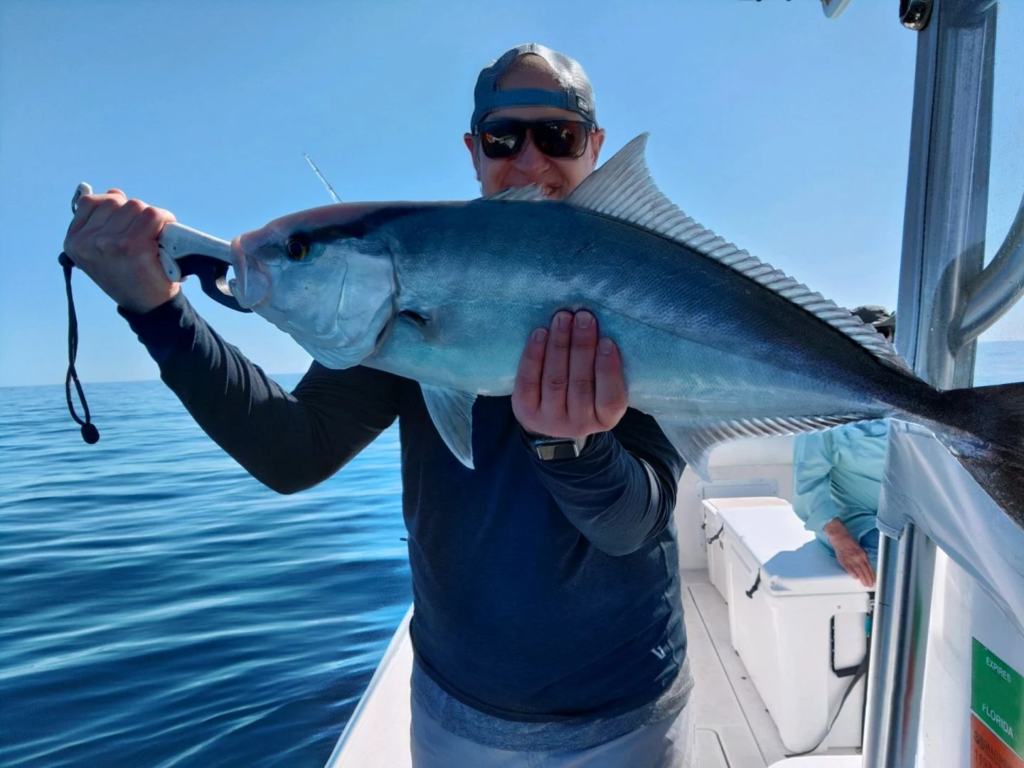 An angler on a boat holding a freshly-caught Amberjack in Clearwater, FL