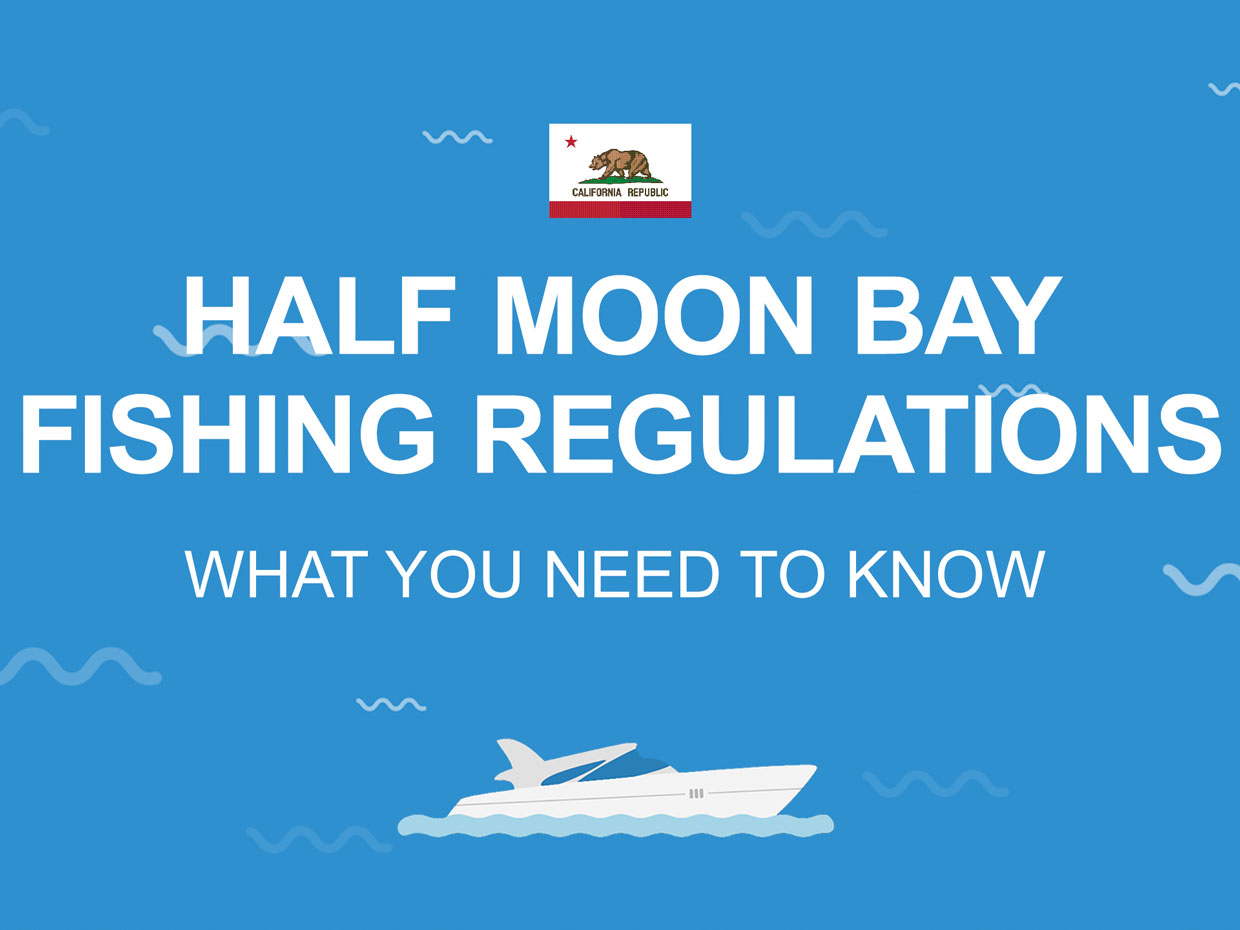 Half Moon Bay Fishing The Complete Guide (Updated 2023)