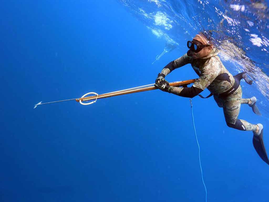 An underwater view of a freediving spearo with spearfishing equipment such as a mask, snorkel, gloves, fins, wetsuit, and speargun