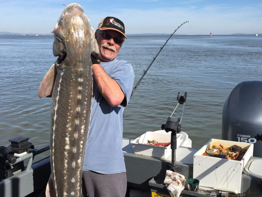 When Is Mackerel Season In California?