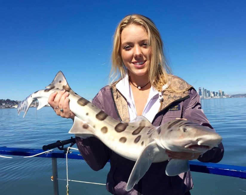 When Is Mackerel Season In California?