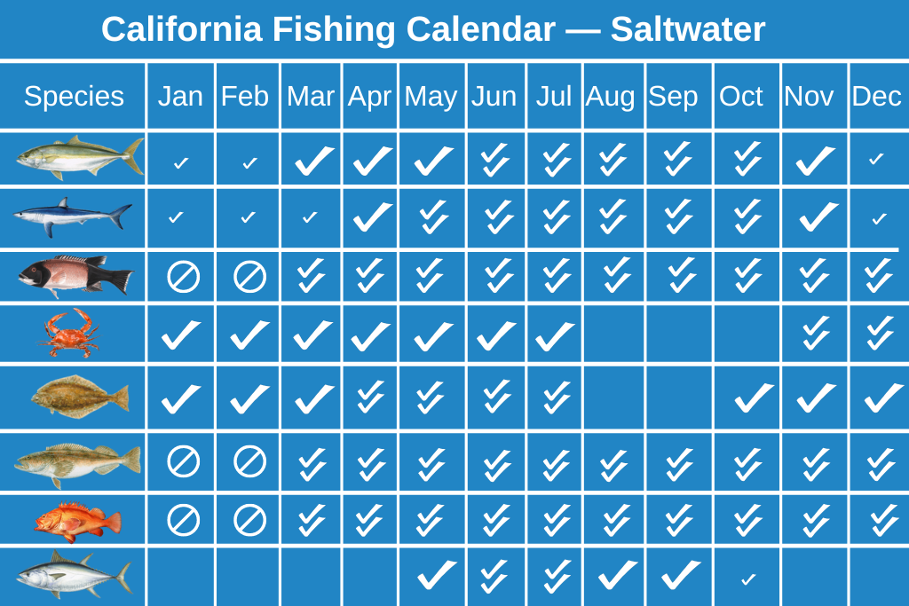 Temporada de pesca de California todo lo que necesita saber