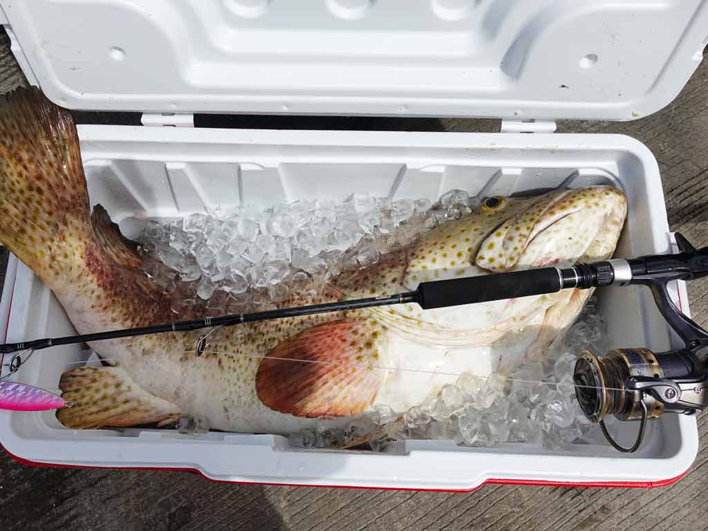 A photo showing a fishing rod and a fish on the ice in a cooler