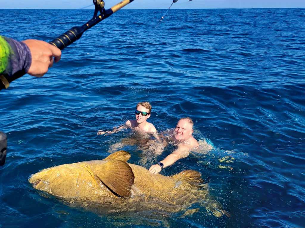 A pair of anglers swimming with a Goliath Grouper they reeled in.