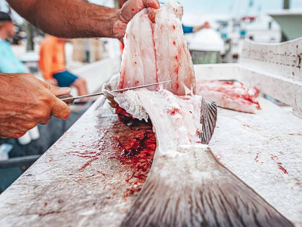 A fisherman filleting the freshly caught fish while using a sharp fish fillet knife 