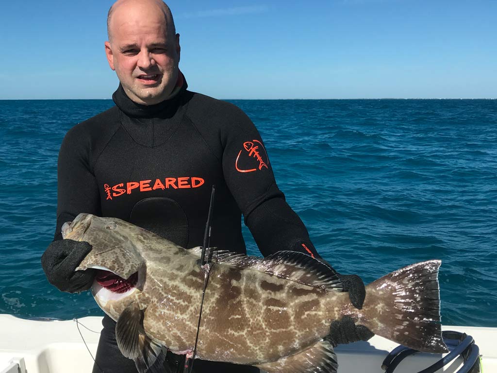 A diver holding a big Black Grouper caught on a Miami spearfishing trip.