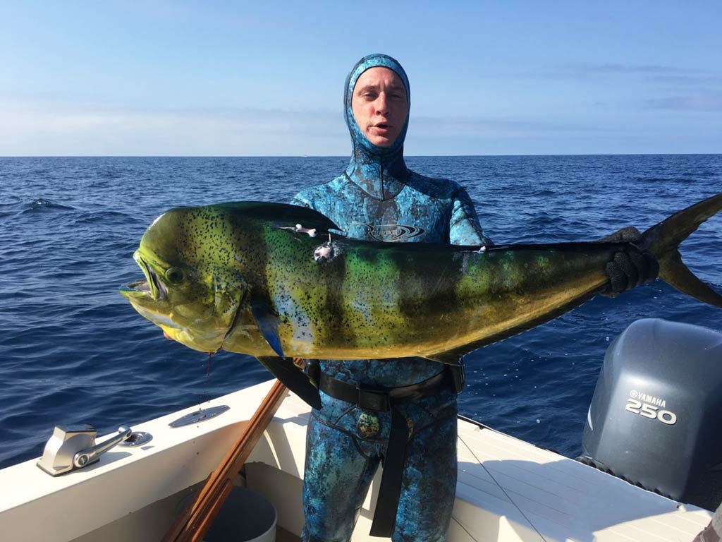 A spearo showing off his big Mahi Mahi caught while spearfishing in California