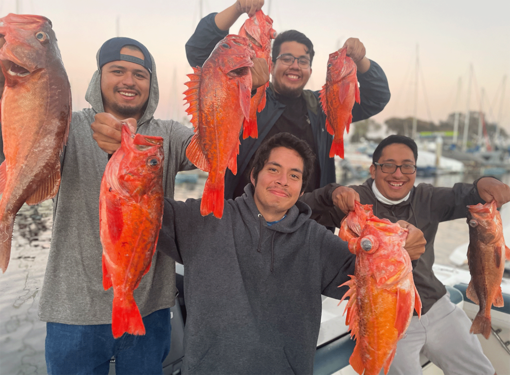 Four anglers holding Rockfish that they caught in California